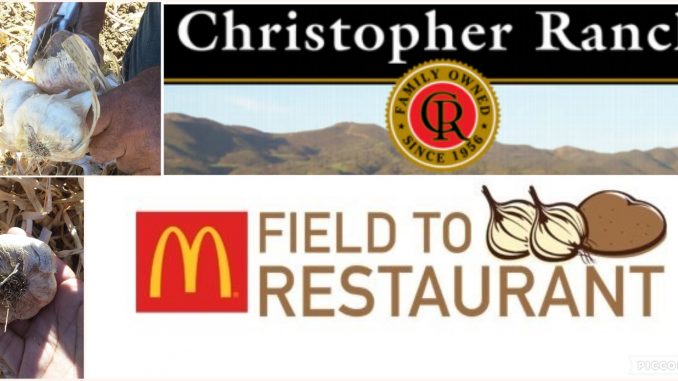 Sharing What I Learned on McDonalds Field to Restaurant Tour of Christopher Ranch in Gilroy, CA