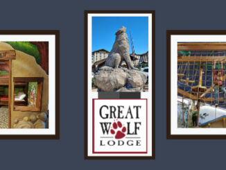 Great Wolf Lodge 84 Degree Sale 2022